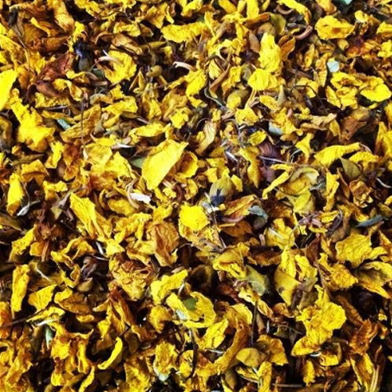 avarmpoo-leaf1 Avarampoo Leaf